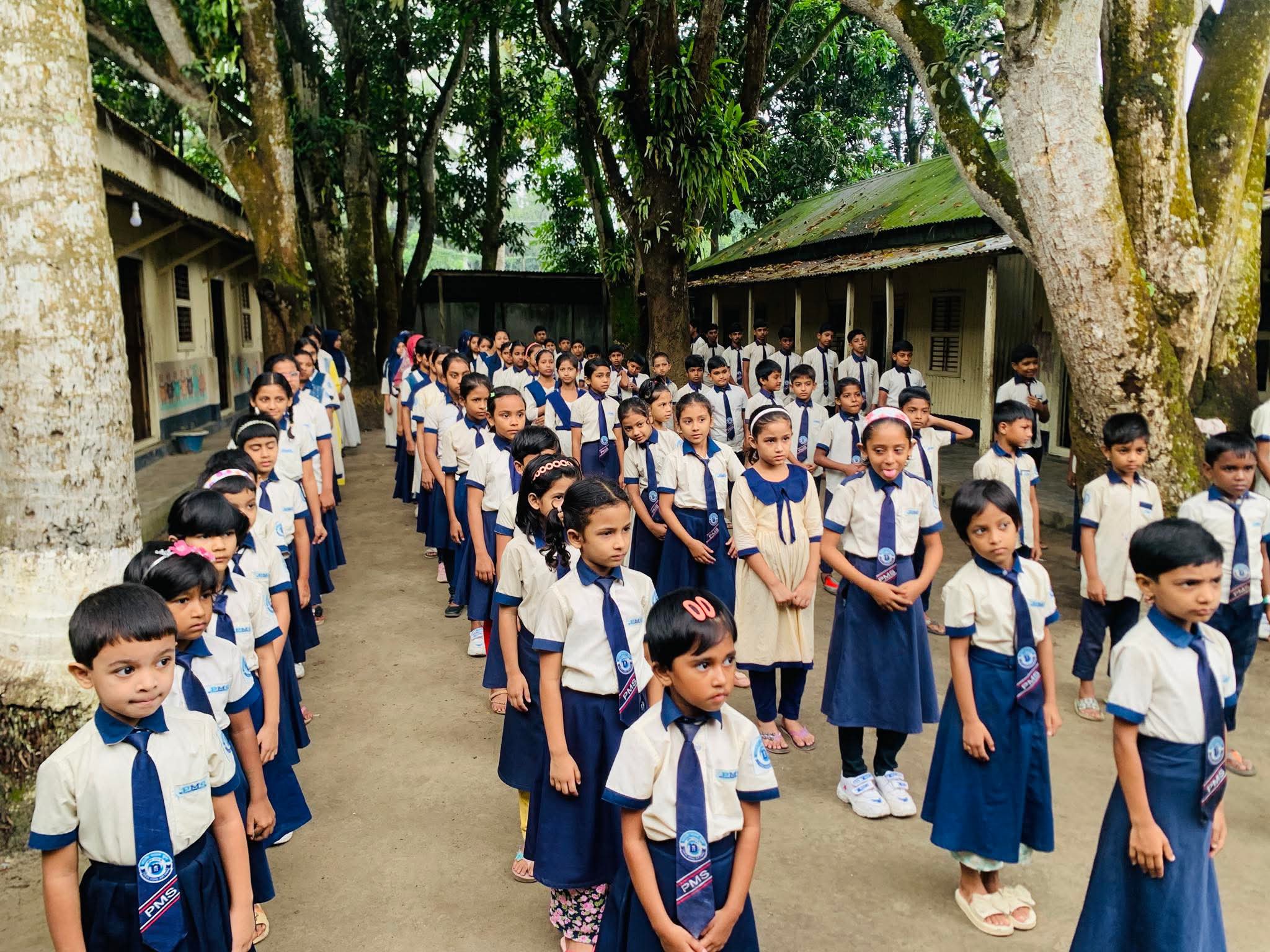 প্রচেষ্টা মডেল স্কুল